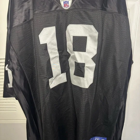 NFL Randy Moss Jersey - Picture 3 of 3